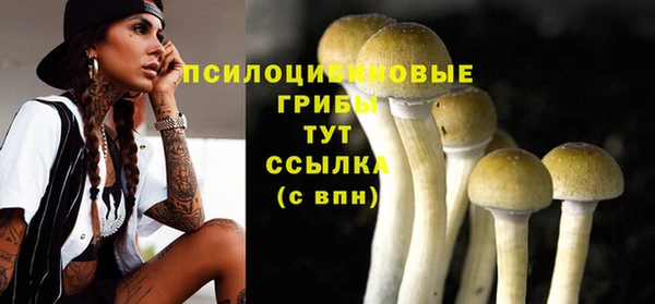 дмт Кодинск