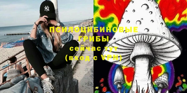 дмт Кодинск