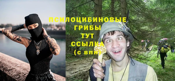 дмт Кодинск
