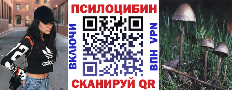 Купить где  Гурьевск  Галлюциногенные грибы MAGIC MUSHROOMS 