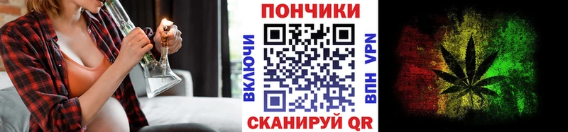 Купить где  Гурьевск  Канабис ГИДРОПОН 